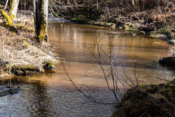 mountain river in summer surrounded by forest