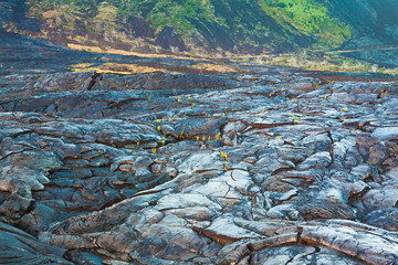 Molten cooled lava landscape