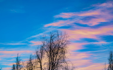 Bright blue sky with clouds at sunset in the spring, evening landscape