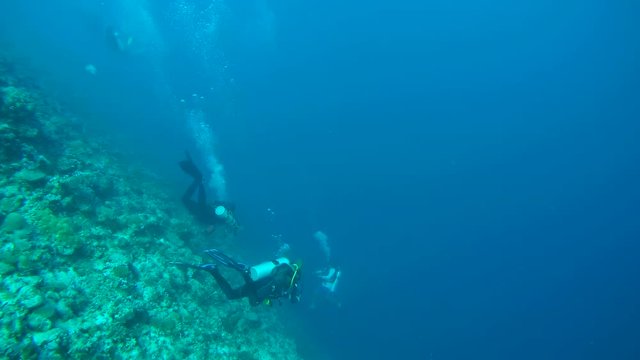 A group of scuba divers dives to the depth along the steep slope of the coral reef, Indian Ocean, Maldives
