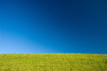 Meadow on blue sky background.