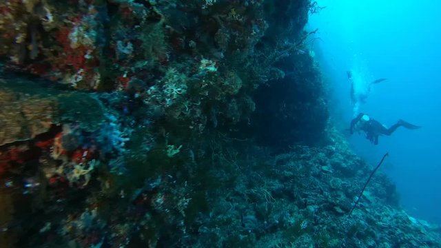 Male scuba diverы swims next a coral reef, Indian Ocean, Maldives

