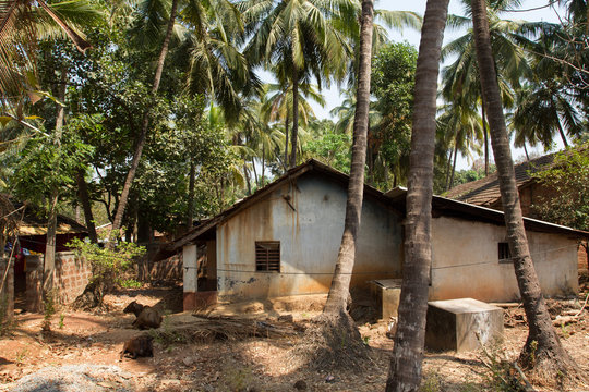 Country houses in the shade of coconut trees. A typical village in southern India
