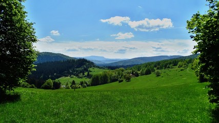 Fototapeta premium Landscape