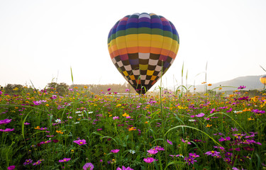 Fototapeta premium International Balloons Fiesta 2017, Chiang Rai, Thailand