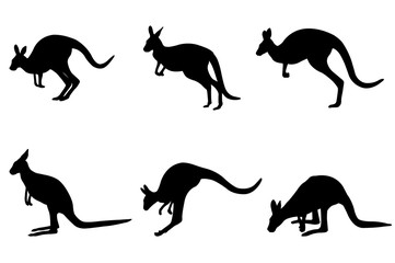 kangaroo silhouettes - vector