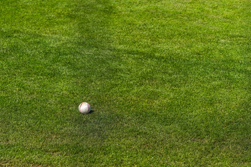 Baseball in the grass