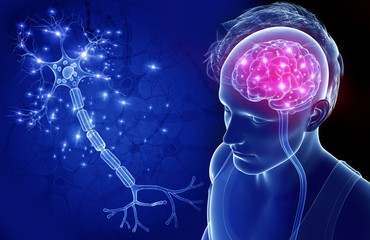 Close-up of brain and nerve cell of a man