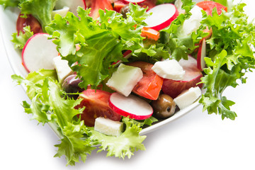 Mozzarella and fresh vegetable salad