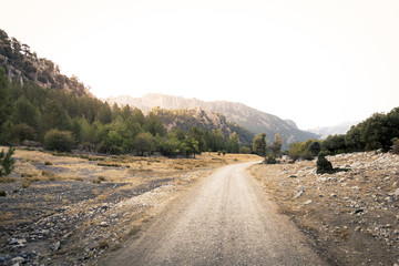 El camino hacia la paz