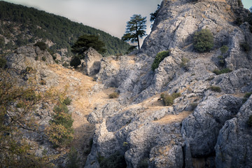 Rocas al atardecer