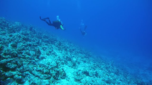 Two male scuba divers float down the slope of a coral reef, Indian Ocean, Maldives, Indian Ocean, Maldives
