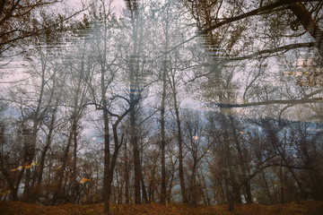 Reflection in water of an autumn landscape.Abstract background.Retro filter.