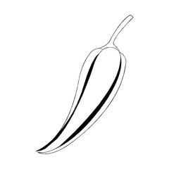 chili pepper vegetable icon image vector illustration design simple sketch line