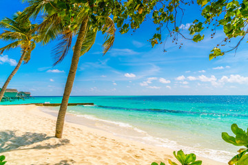 Naklejka na ściany i meble Beautiful tropical Maldives island, white sandy beach and sea with palms tree around .