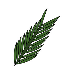 green leaf icon image vector illustration design 