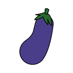 eggplant vegetable icon image vector illustration design 
