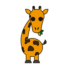 giraffe eating leaves cute animal cartoon icon image vector illustration design 