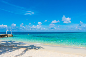 Beautiful tropical Maldives island with white sandy beach and sea .