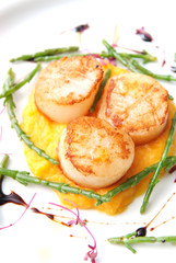 Scallops, creatively arranged food on a white restaurant plate