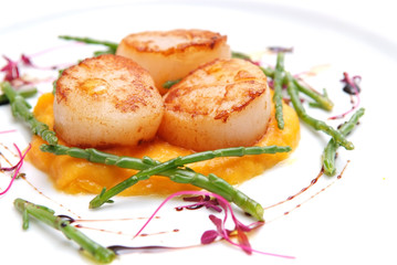 Scallops, creatively arranged food on a white restaurant plate