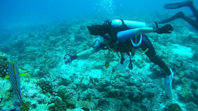 Female scuba diver takes pictures under the water, Indian Ocean, Maldives
