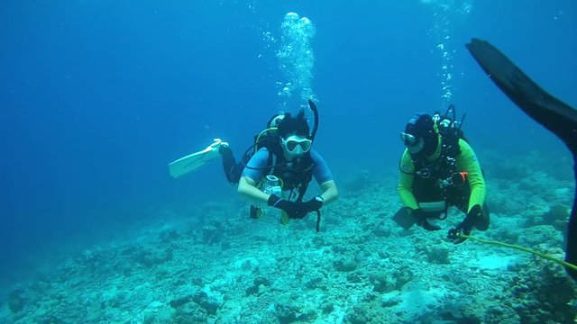 Two scuba diver actively communicate underwater, Indian Ocean, Maldivies
