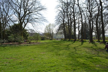 park trees nature grass 