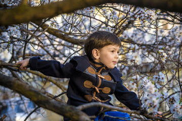 boy kid hanging from a blossom spring tree and having fun in the nature