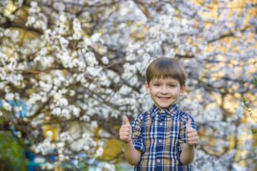 toddler boy in spring time near the blossom tree smiling happy boy