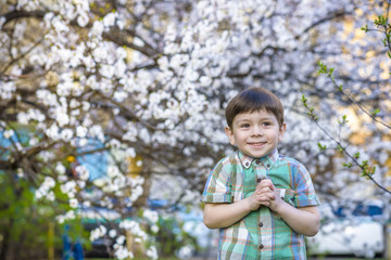 Naklejka premium toddler boy in spring time near the blossom tree smiling happy boy