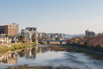 Fototapeta na wymiar Kamo river view - Kyoto Japan - Gojo bridge