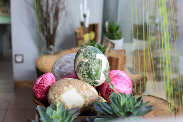 Durze kolorowe jajka Wielkanocne w kwiaciarni. - obrazy, fototapety, plakaty