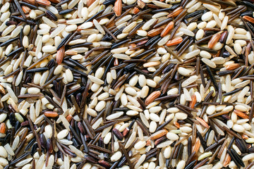 Unsorted natural wild Rice blend that needs to be picked for consumption- food texture or background