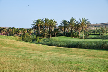Golf course with gorgeous green and pond. Algorfa, Apain.