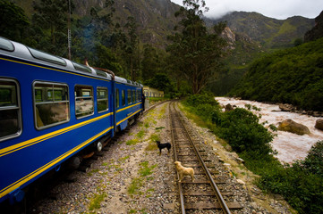 Naklejka premium rio e ferrovia per machupicchu