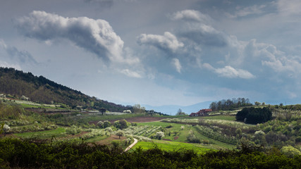 Panoramic view of a spring day in the Serbian rural landscape.