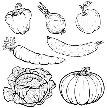 Set illustration of vegetables collection in line art .Icons.
