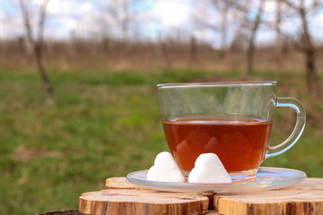 A cup of tea in a transparent mug on a background of nature with sugar