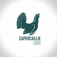 Fototapeta na wymiar Western capercaillie, wood grouse, male bird - vector logo emblem