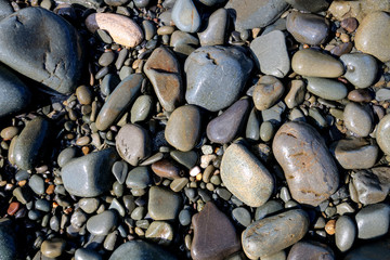 Pebbles and Stones on a Beach