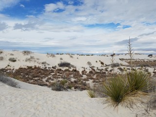 White sands
