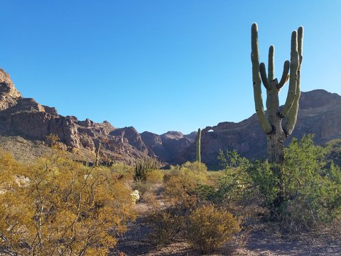 Arizona desert © Nolan