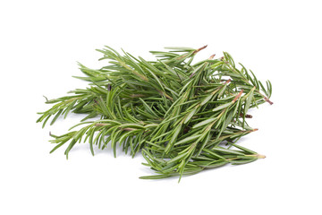 rosemary Herbs and Medicinal herbs. Organic healing herbs. fresh rosemary bunch rosemary isolated on white background