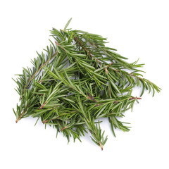 rosemary Herbs and Medicinal herbs. Organic healing herbs. fresh rosemary bunch rosemary isolated on white background