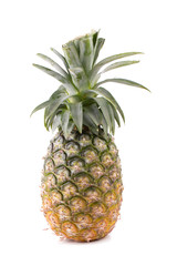 pineapple on a white background in the studio.