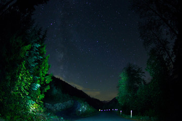 Fototapeta premium Starry Sky