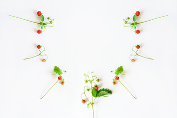 top view of strawberry fruits on white color paper background with copy space for text, wild summer health concept