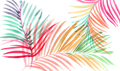 Fototapeta na wymiar Colorful palm leaves