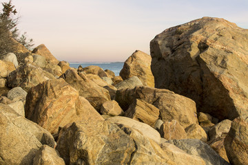 Fototapeta na wymiar Pile of granite boulders left by the glaciers, Madison, Connecticut.